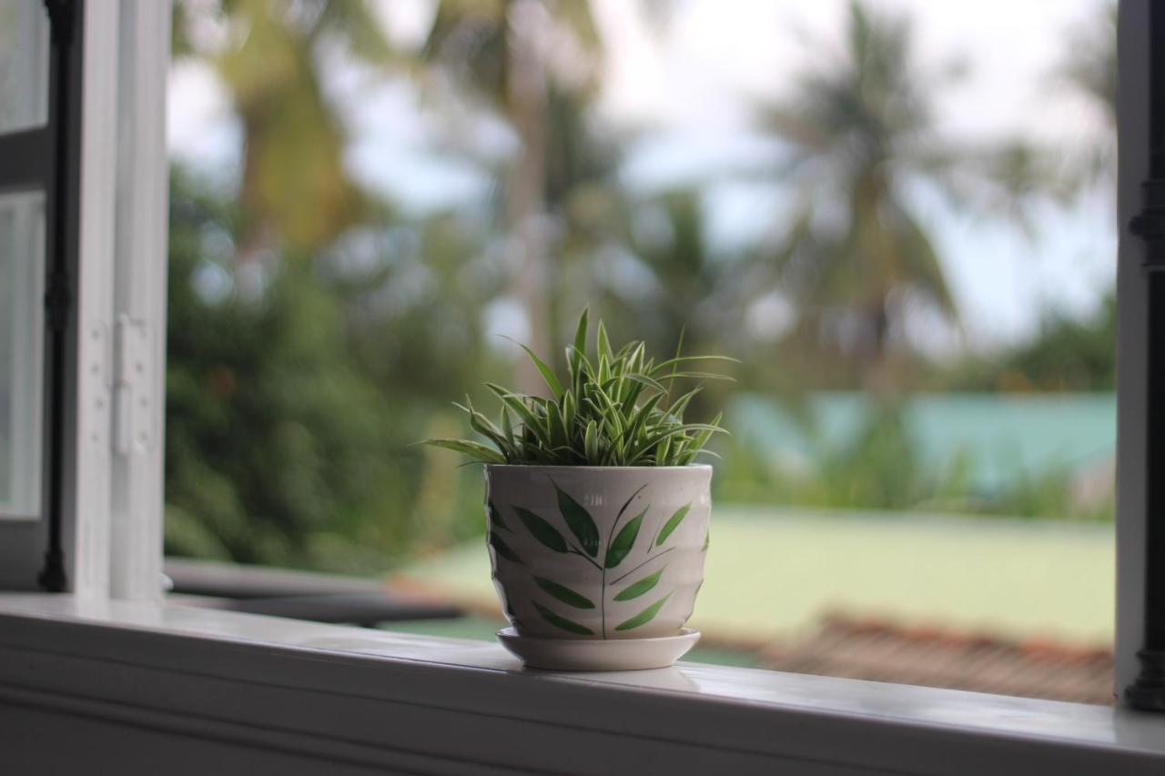 Tiny An Homestay Hue Buitenkant foto